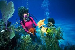 Diving tours in Egypt the best vacation 1
