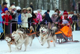 Skijoring competition held at the Hippodrome Barnaul