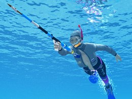 Spearfishing - cure for autumn depression