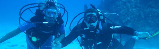 Diving tours in Egypt the best vacation