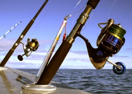 two saltwater spinning reels