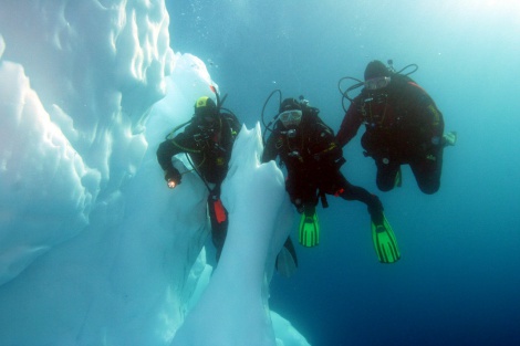 Unique dive Dmitry Schiller in Antarctic waters1
