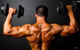 bodybuilding-spina