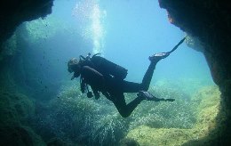 kipr-diving