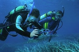 Under water with a computer