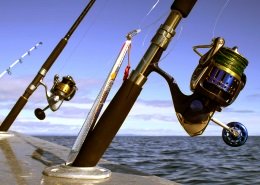 two saltwater spinning reels